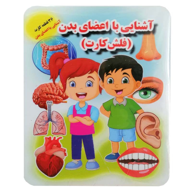 فلش کارت اعضای بدن