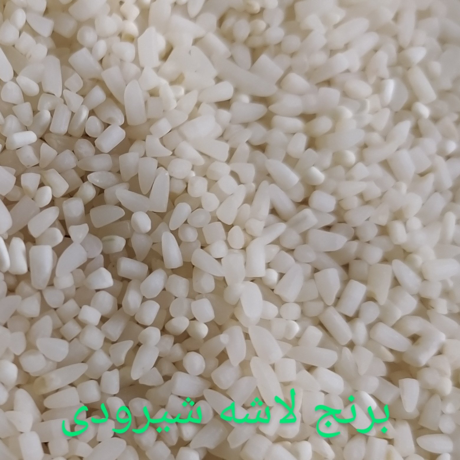 برنج 20ک لاشه شیرودی سید نظام کشت اول امسال(20کیلوگرم)