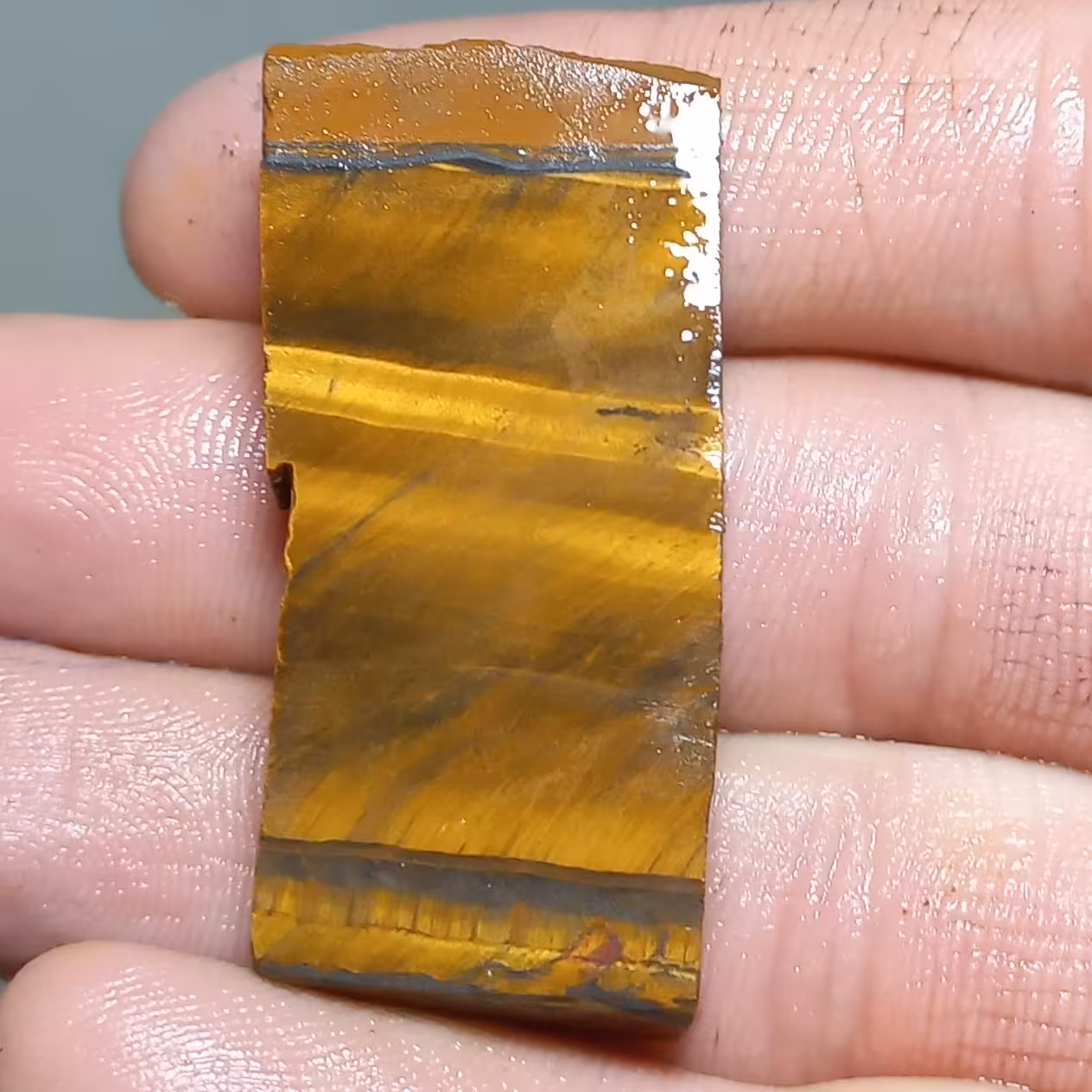 اسلایس چشم ببر