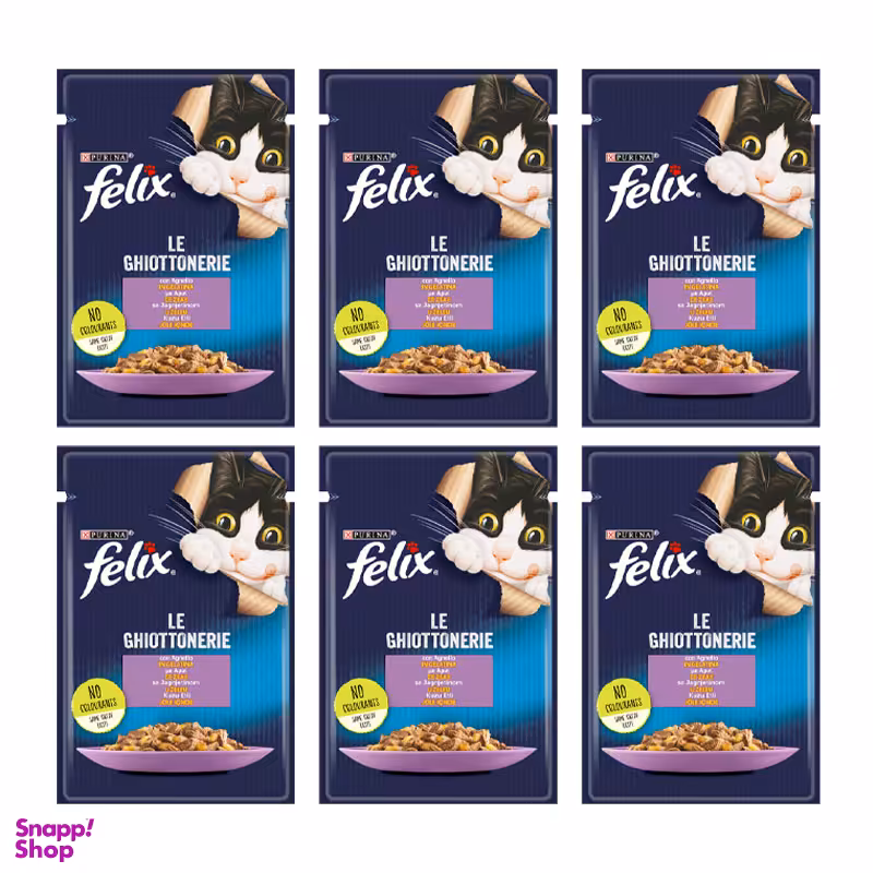 پوچ گربه فلیکس مدل Lamb وزن 85 گرم مجموعه 6 عددی