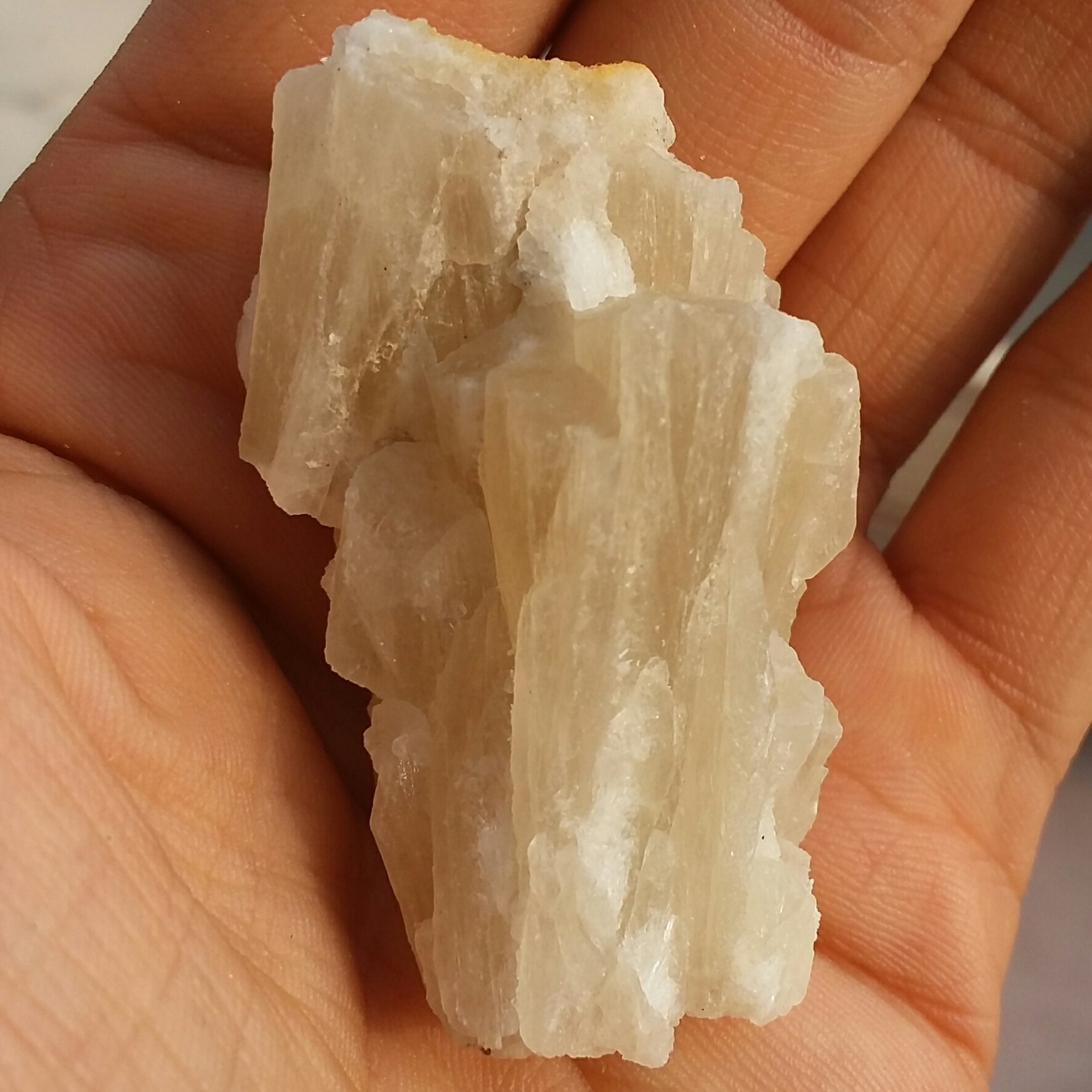 سنگ راف کلکسیونی کلسیت زرد نباتی 100 در 100 طبیعی شااا هکار خلقت
