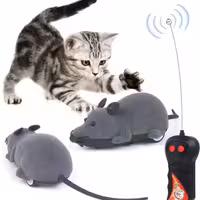 موش کنترلی بی سیم