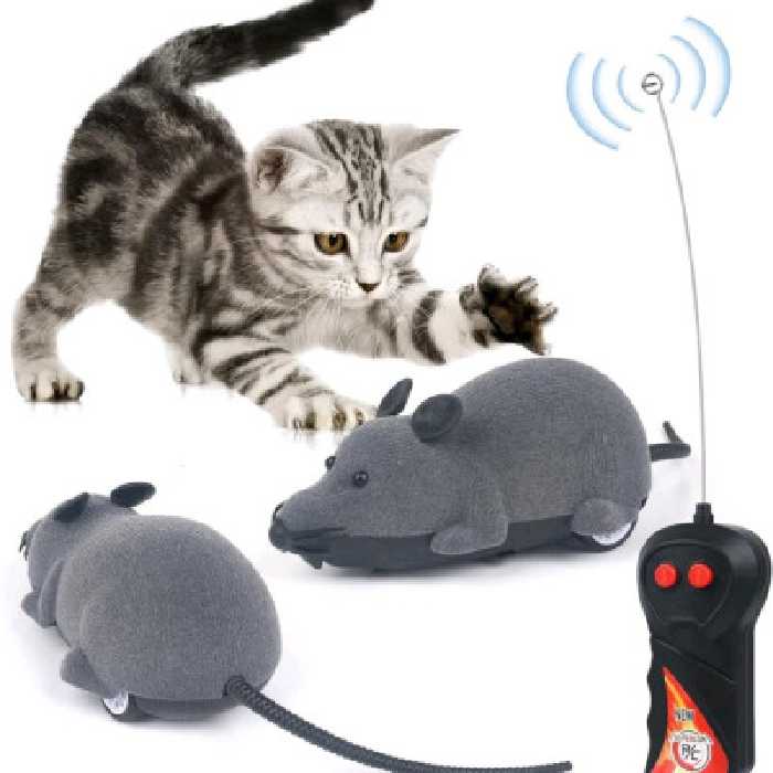 موش کنترلی بی سیم