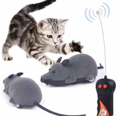 موش کنترلی بی سیم