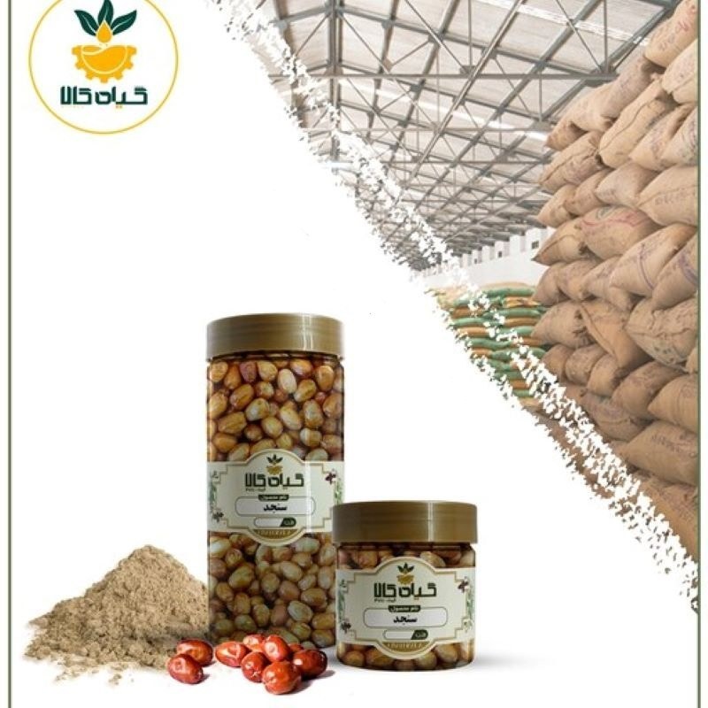 میوه سنجد شیرین با کیفیت عالی، بار امسالی و تازه(65گرمی )