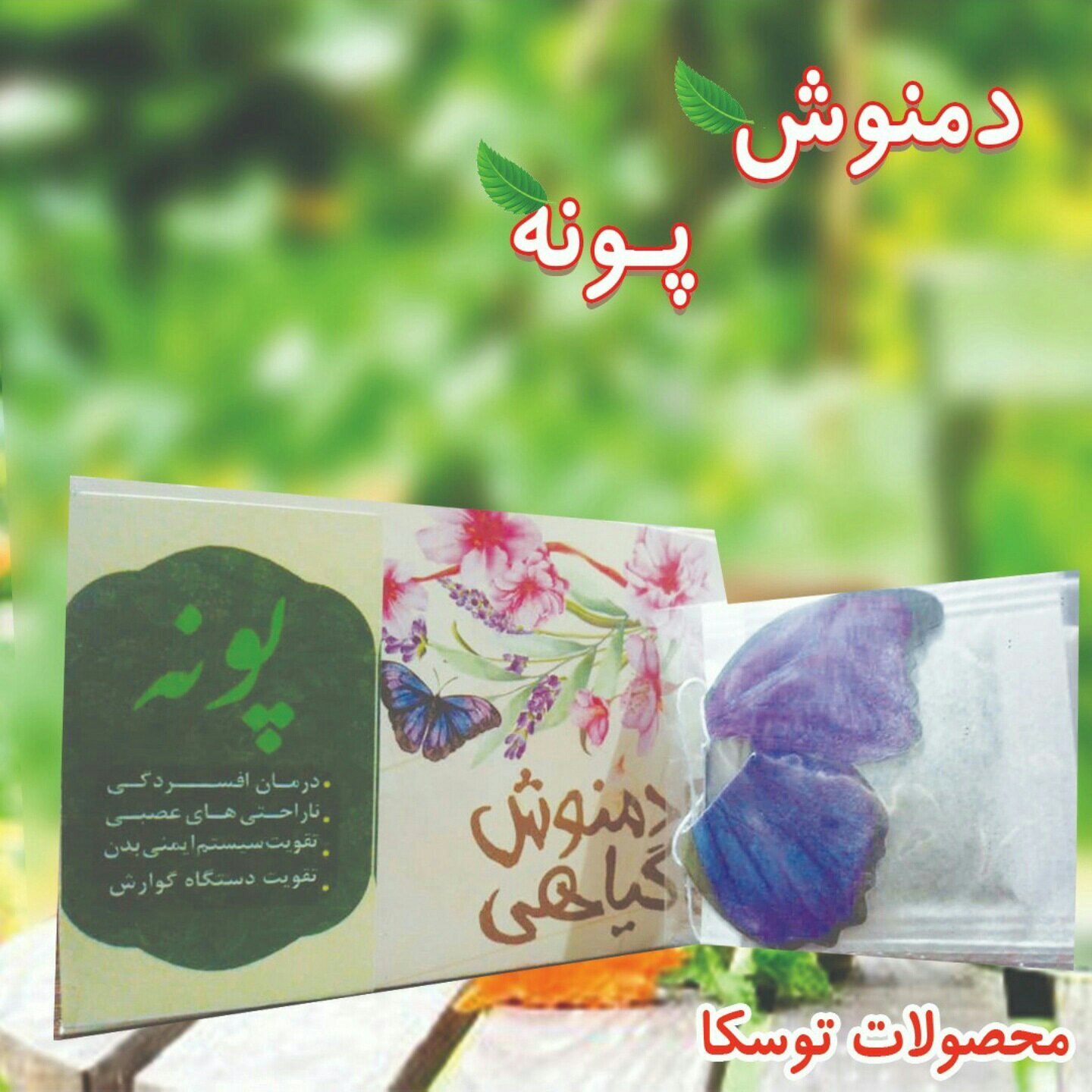 دمنوش پونه