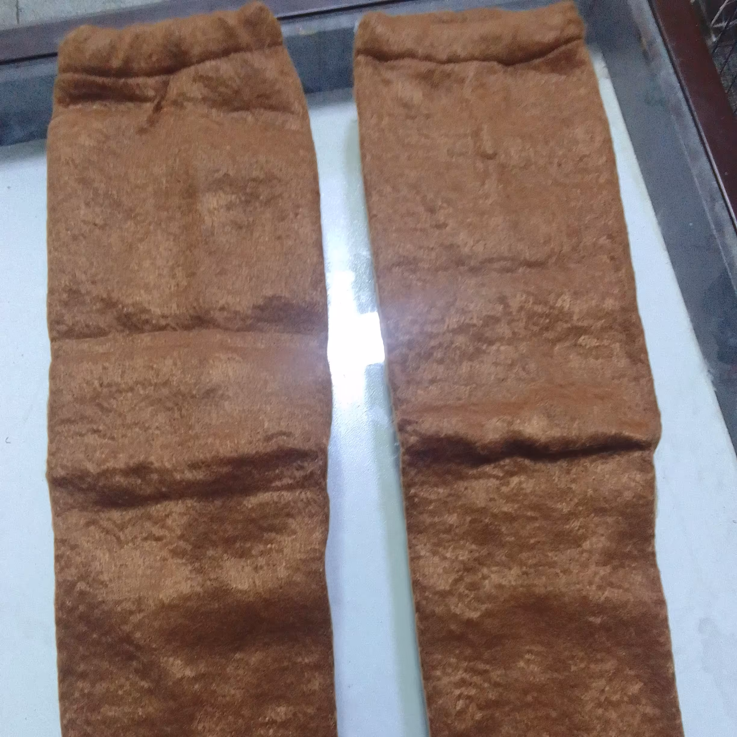 بزرگسال ساق پا شتری