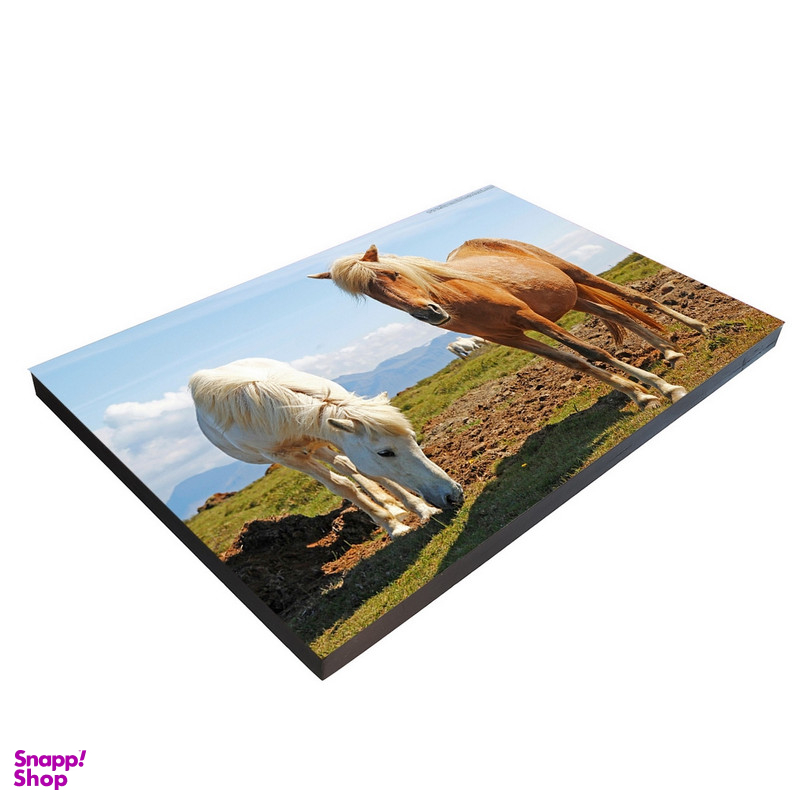 تابلو شاسی بکلیت طرح حیات وحش اسب مدل SH-7576