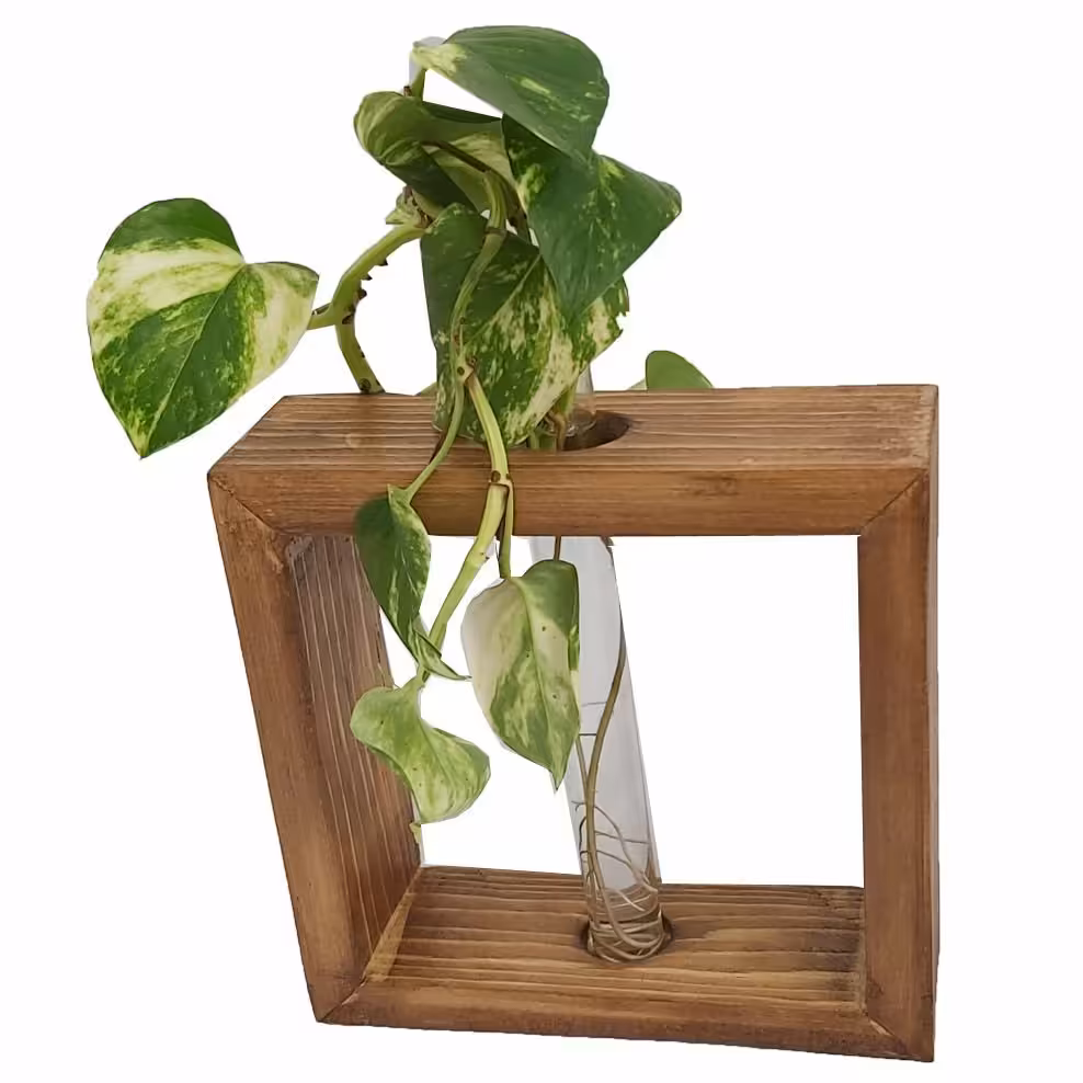 استند  گلدان