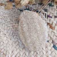 5 عدد پد کاملاً گیاهی شستشو صورت لوفا ارسال رایگان