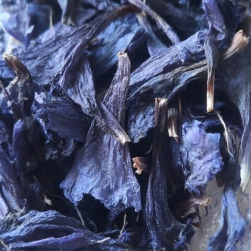  گل گاو زبان خوش عطر و رنگ تولید امسال 25 گرمی 