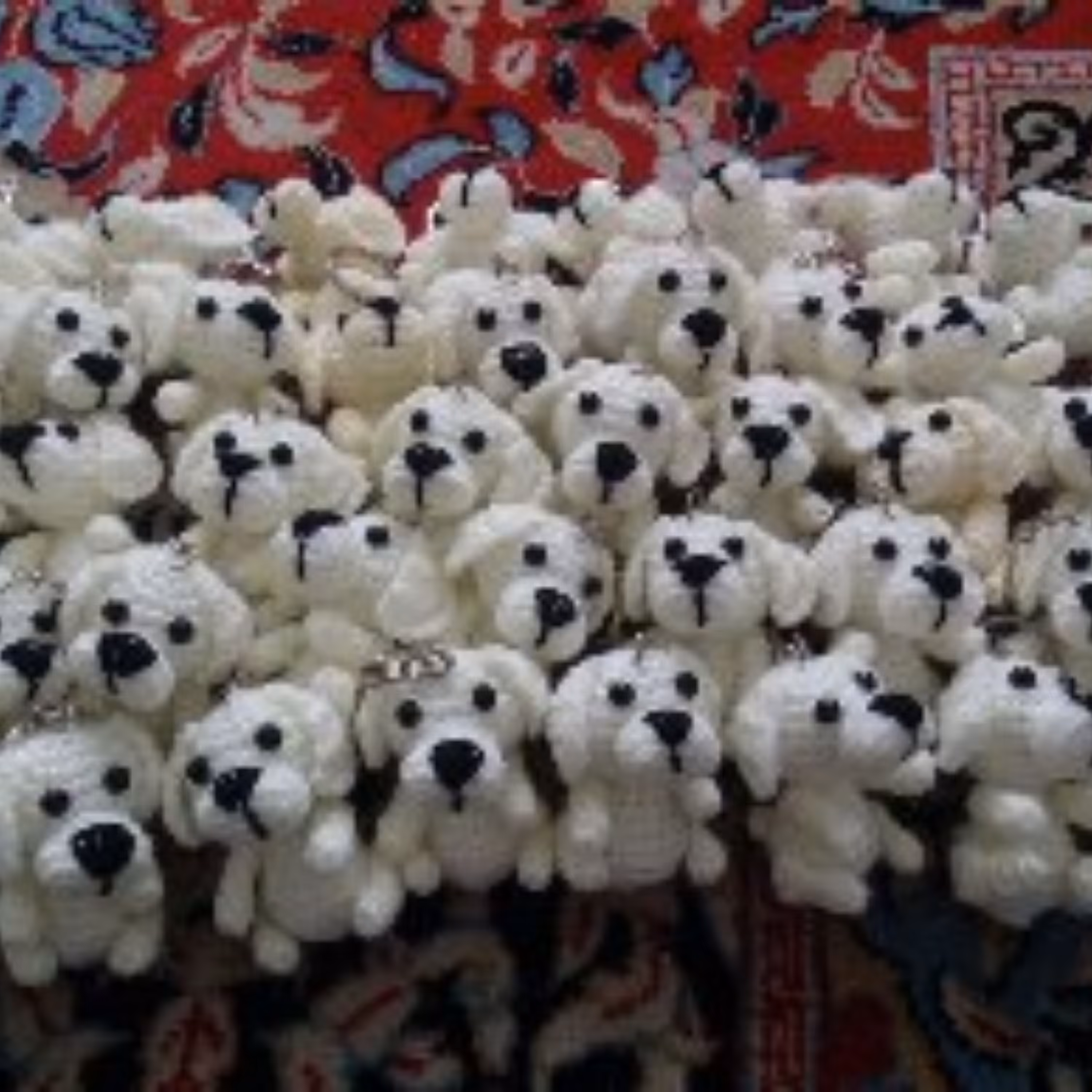 سگ کوچولو
