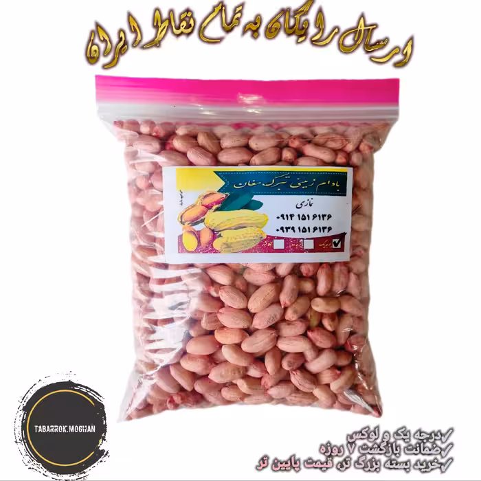 بادام زمینی خام ایرانی تبرک مغان درجه یک ( سایز درشت مغز ) امسال 1 کیلویی