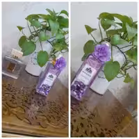 بادی پرفیوم زنانه منیفستو آلفامونته