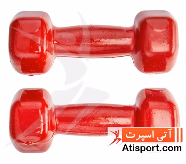 دمبل ایروبیک رکورد 2 و نیم کیلوگرم یک جفت