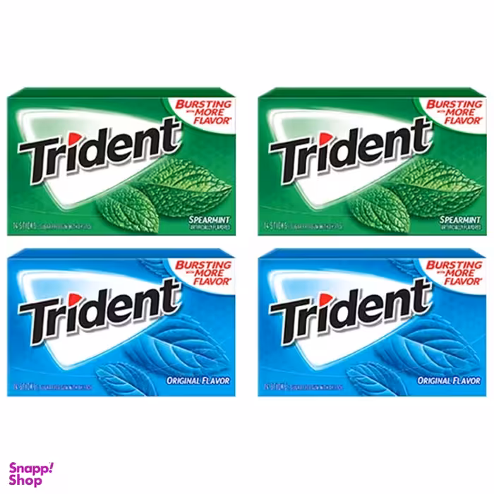 آدامس نعنایی تریدنت بسته ۱۲ عددی مجموعه ۴ عددی