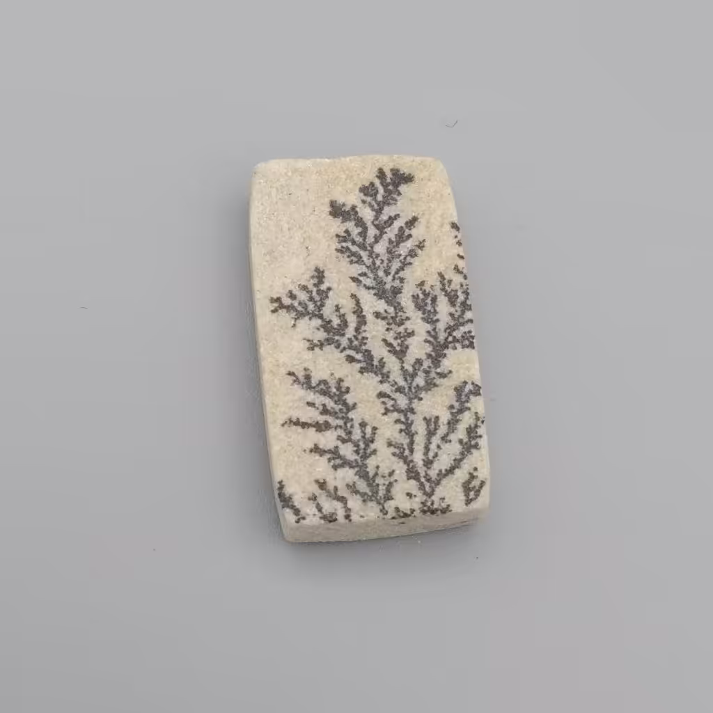 نگین فوق العاده زیبای فسیل شجر معروف به شجر آلمانی اصل معدنی