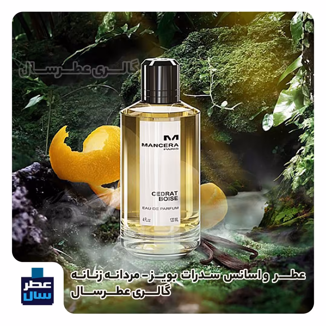 عطر ادکلن مانسرا سدرات بویز  حجم اسپری 5 میل ممتاز یا 4 میل خالص رولی (اسانس خالص سدرات بویس) توضیحات ملاحظه شود 