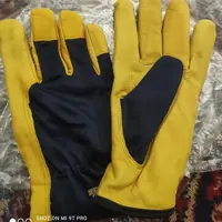 دست کش