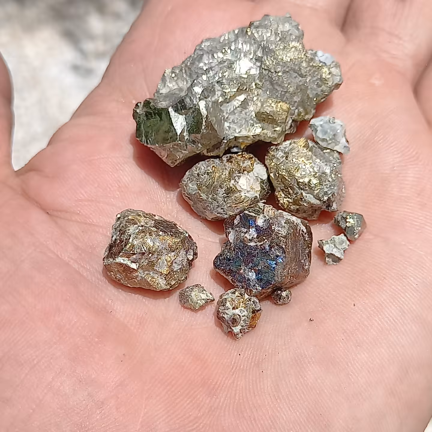 5عدد کوبیک پیریت کلکسیونی خاص