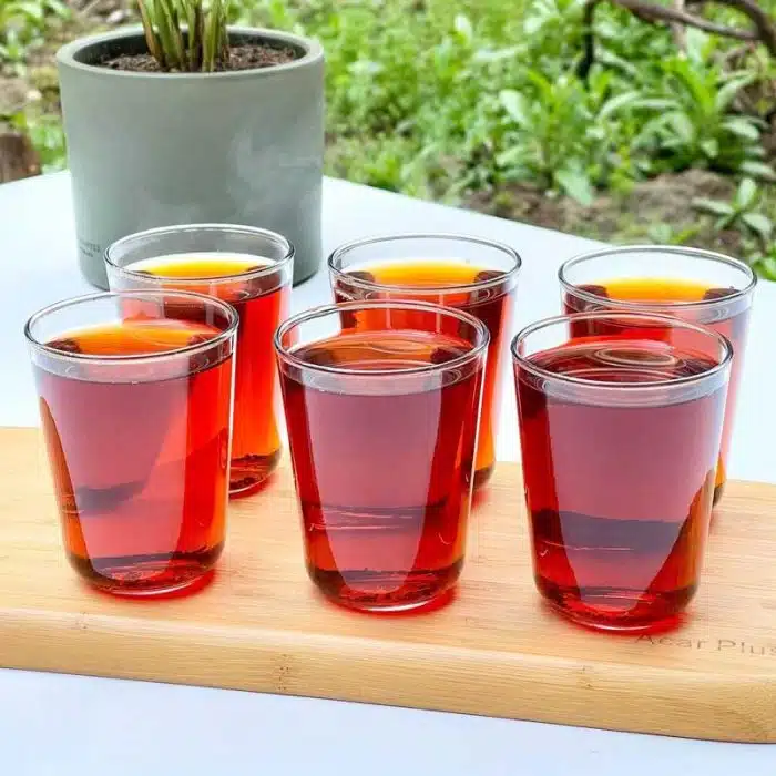 لیوان اوتو پاشاباغچه 6 عددی کد 420312