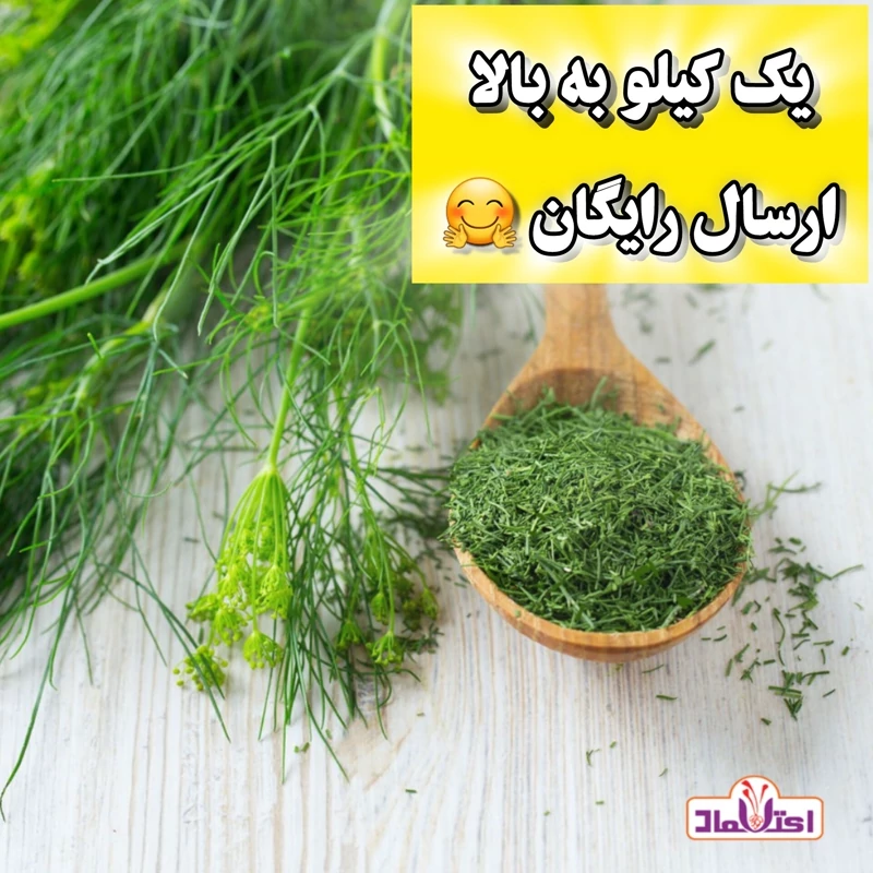 شوید خشک سبز اعلا یک کیلویی اعتماد تازه(سبزی شوید) | amazonchi