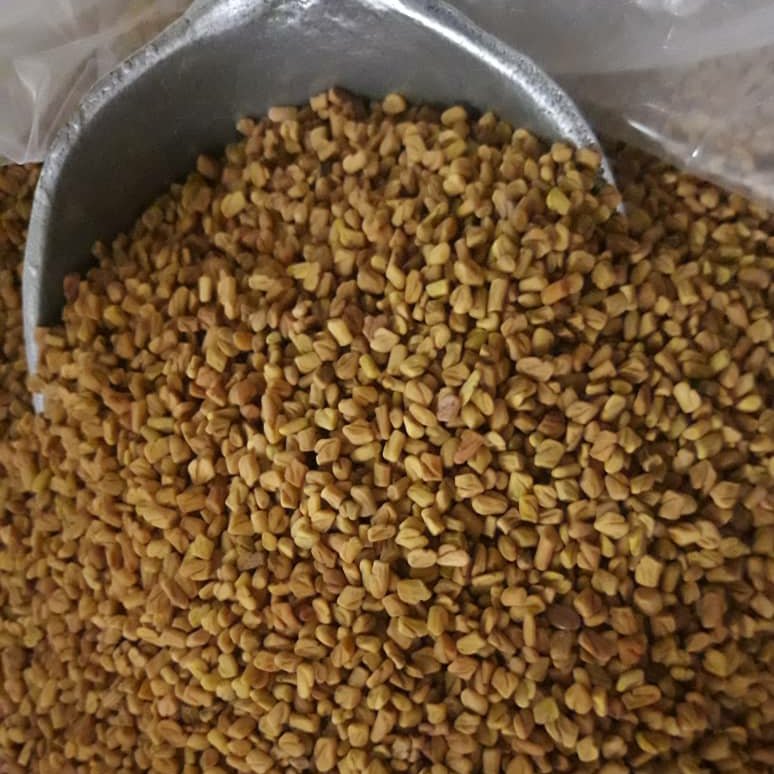 تخم شنبلیله