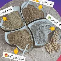 قوتو تقویتی 100 گرمی 