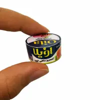مگنت یخچال مینیاتوری تن ماهی مدل اویلا