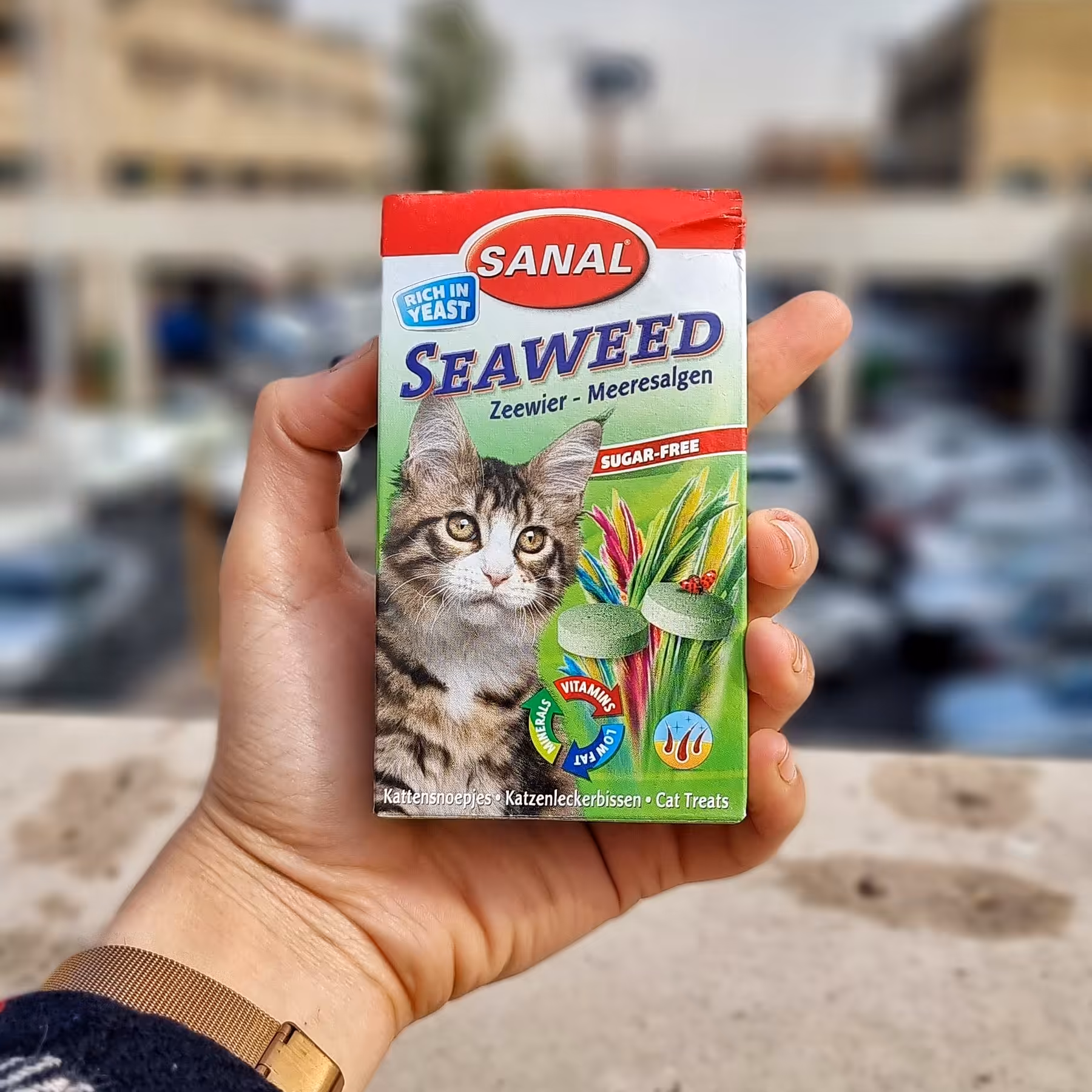 قرص ضد ریزش مو گربه برند سانال