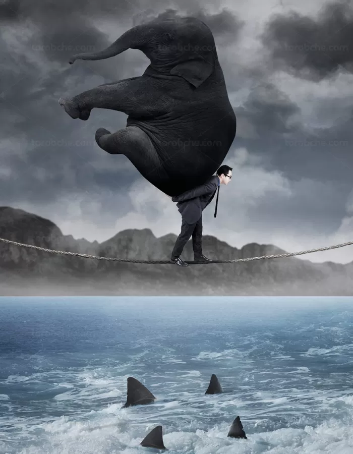 عکس با کیفیت کسب و کار مفهومی حرکت روی تناب نازک با فیل - گرافیک با طعم تربچه