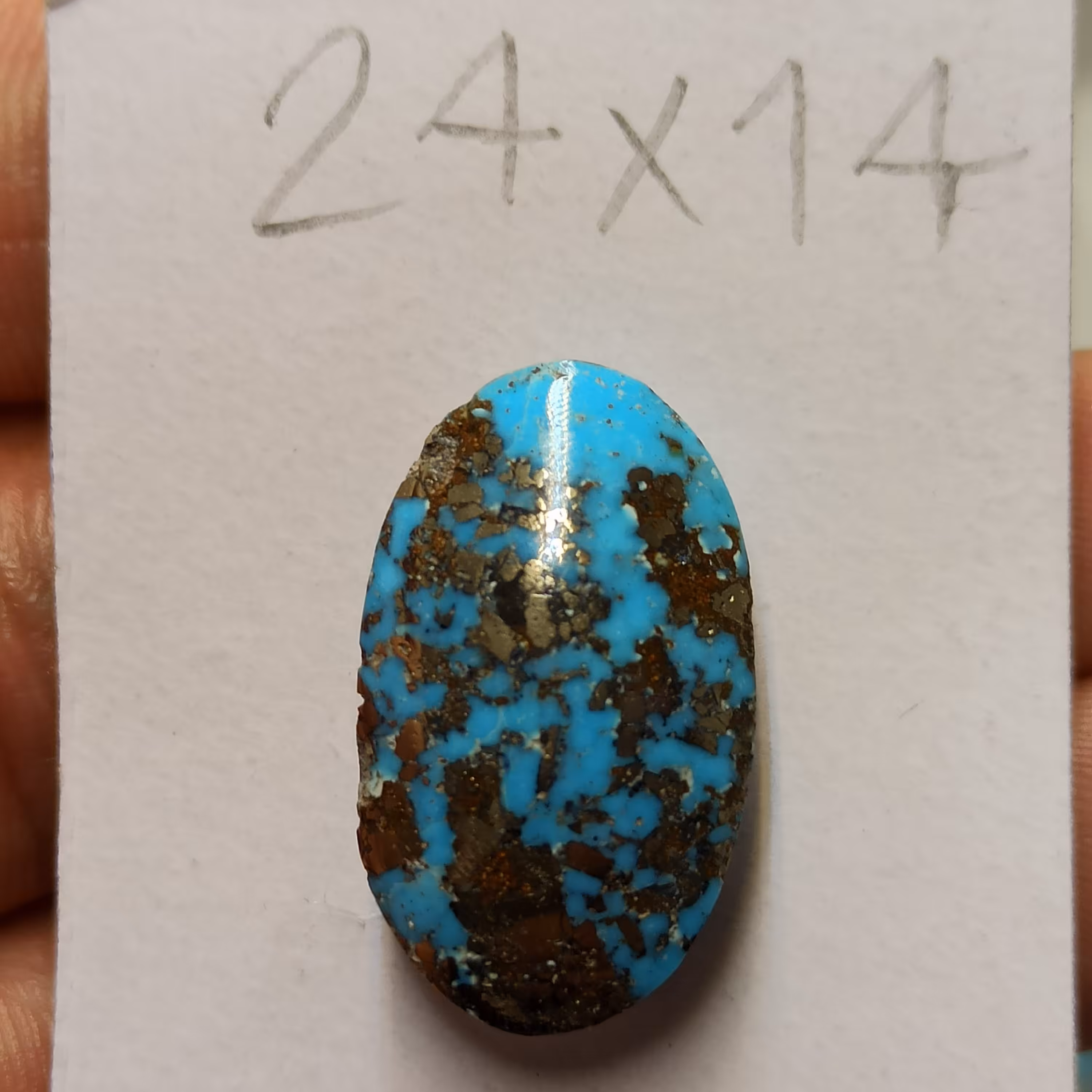 فیروزه شجری 