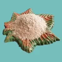 پودر گندم جوانه زده  10 کیلوگرم پاکو-پیشگیری از آلزایمر،پیری زود رس،سرطان ویبوست