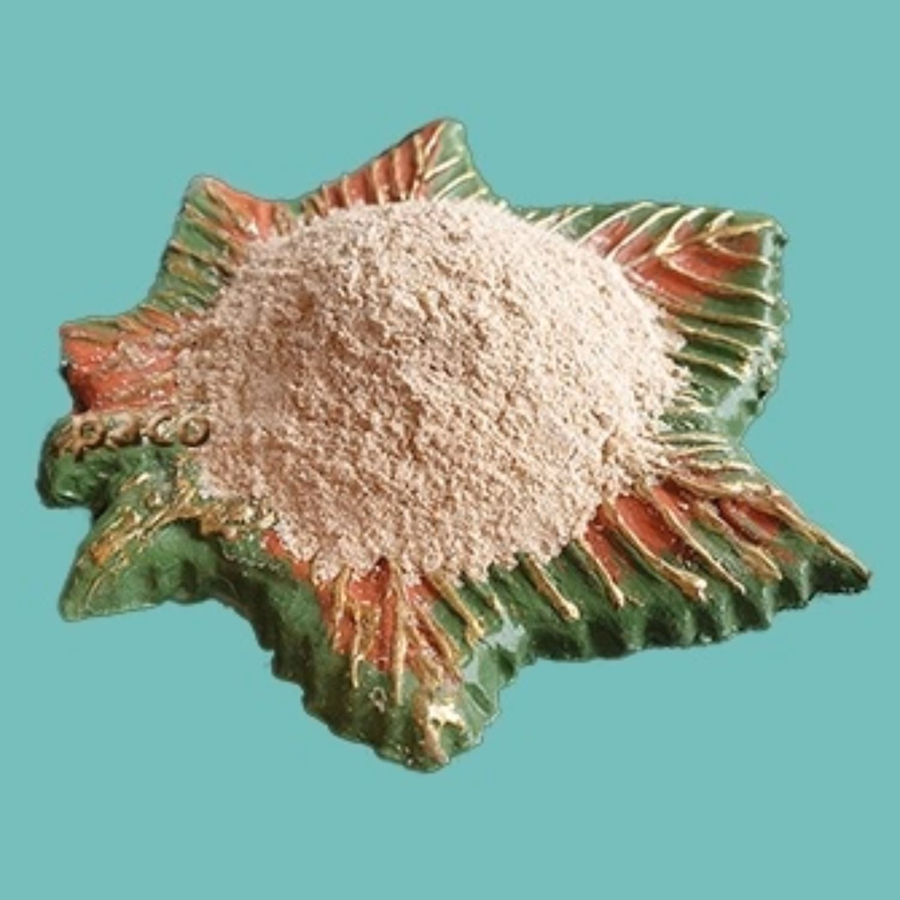 پودر گندم جوانه زده  10 کیلوگرم پاکو-پیشگیری از آلزایمر،پیری زود رس،سرطان ویبوست