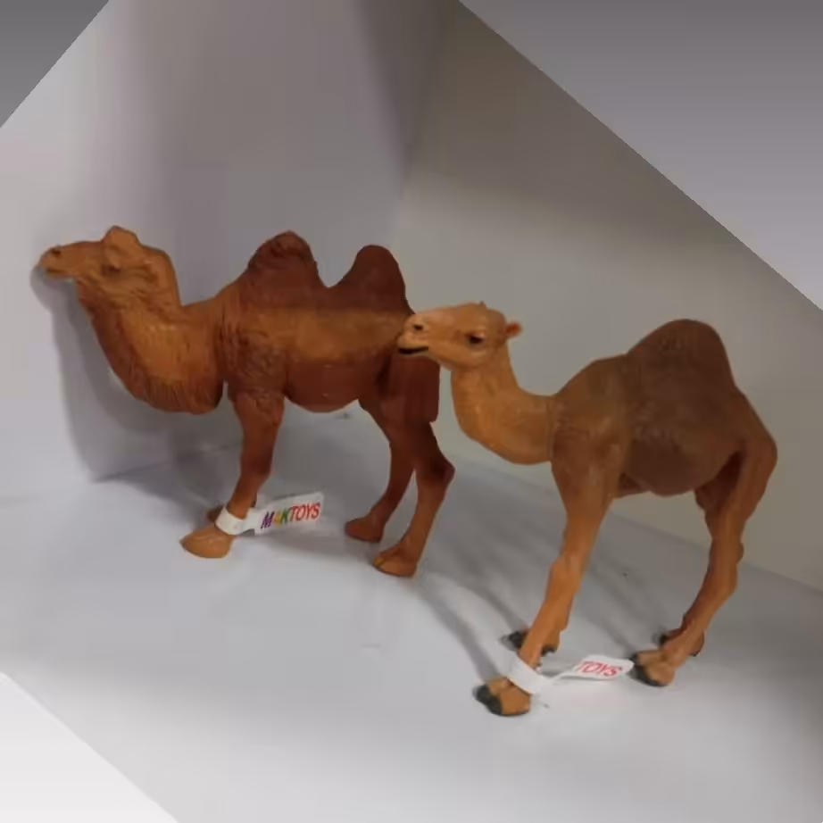 فیگور شتر 
