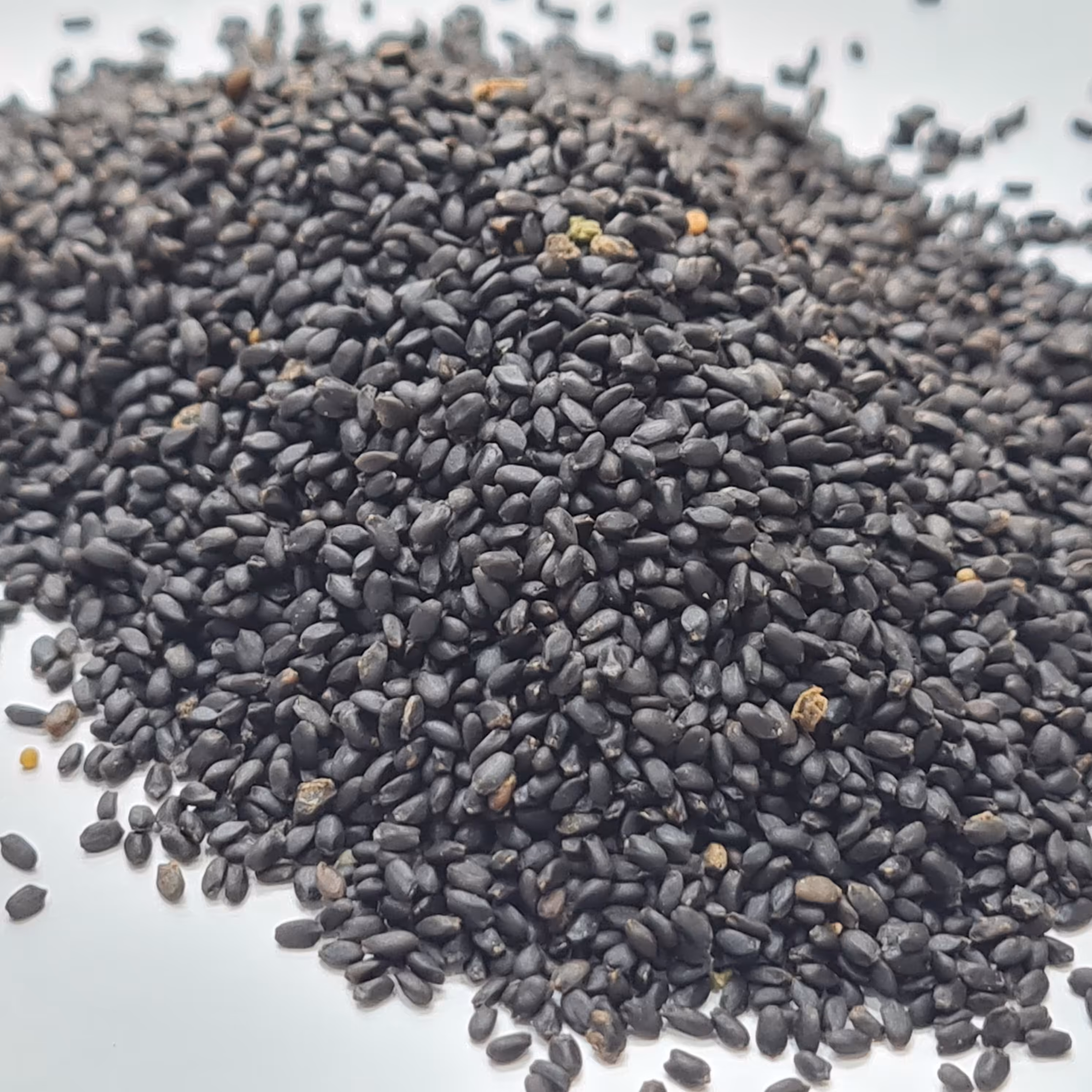 تخم شربتی اعلا درشت 250 گرمی 
پاک کرده و تمیز