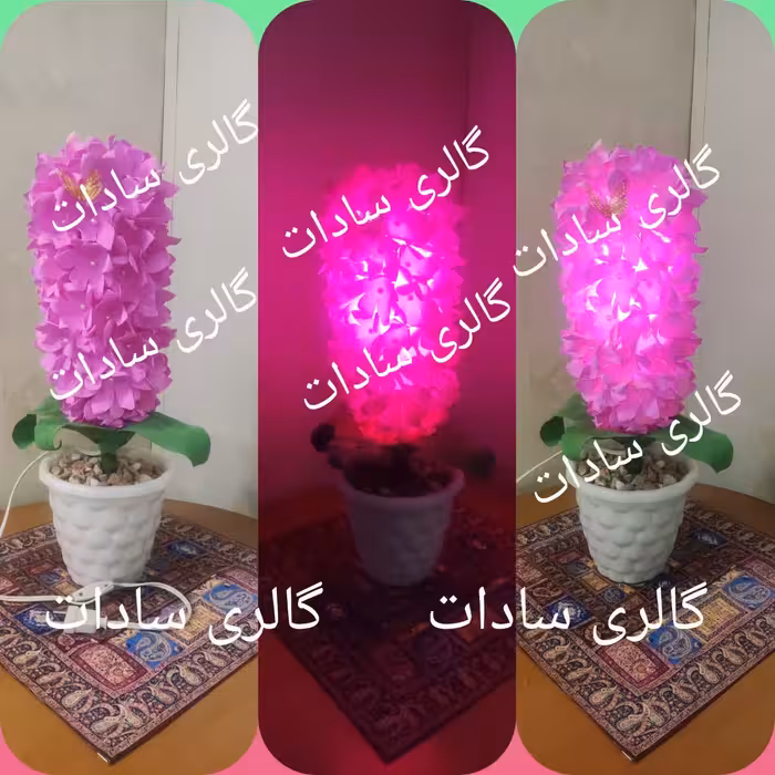 گل سنبل شیک چراغ دار