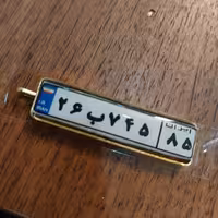 جاسوییچی پلاک خودرو با قاب رنگ استیل و طلایی