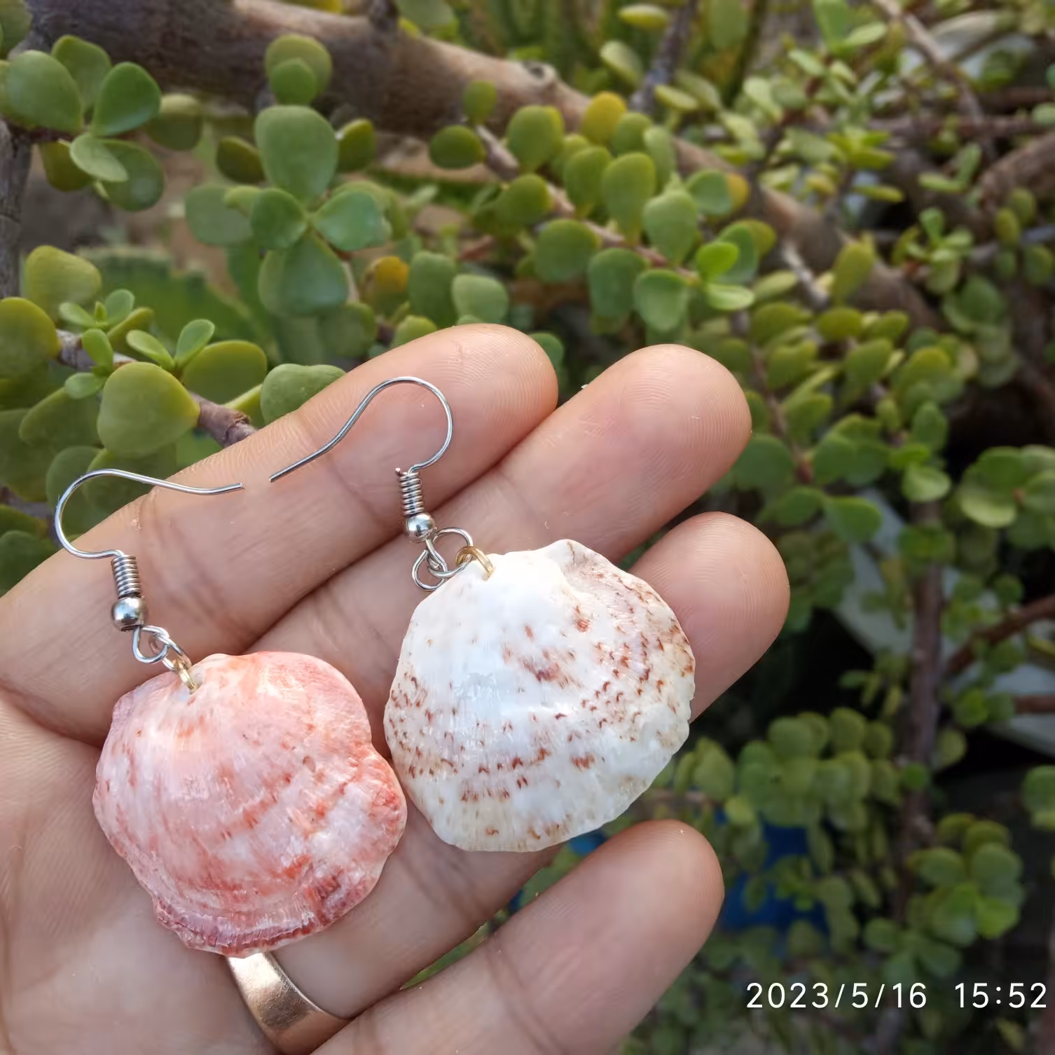 گوشواره صدفی سفیدصورتی