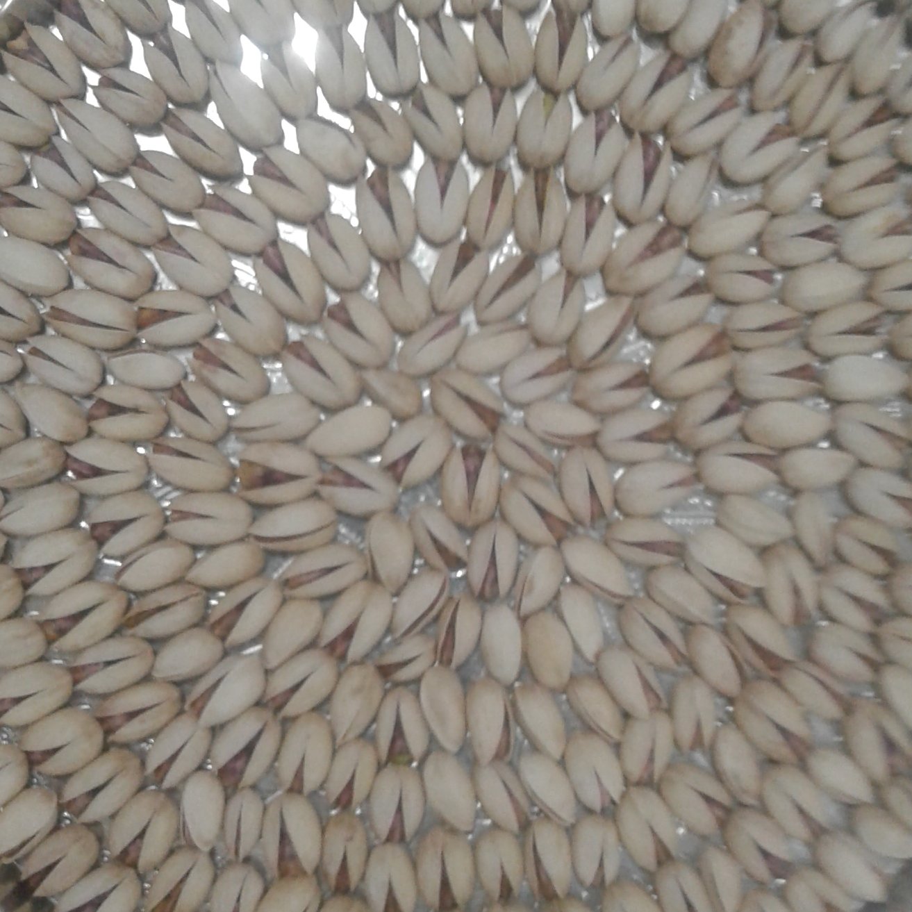 پسته بادامی خندان بسته یک کیلویی شور شده