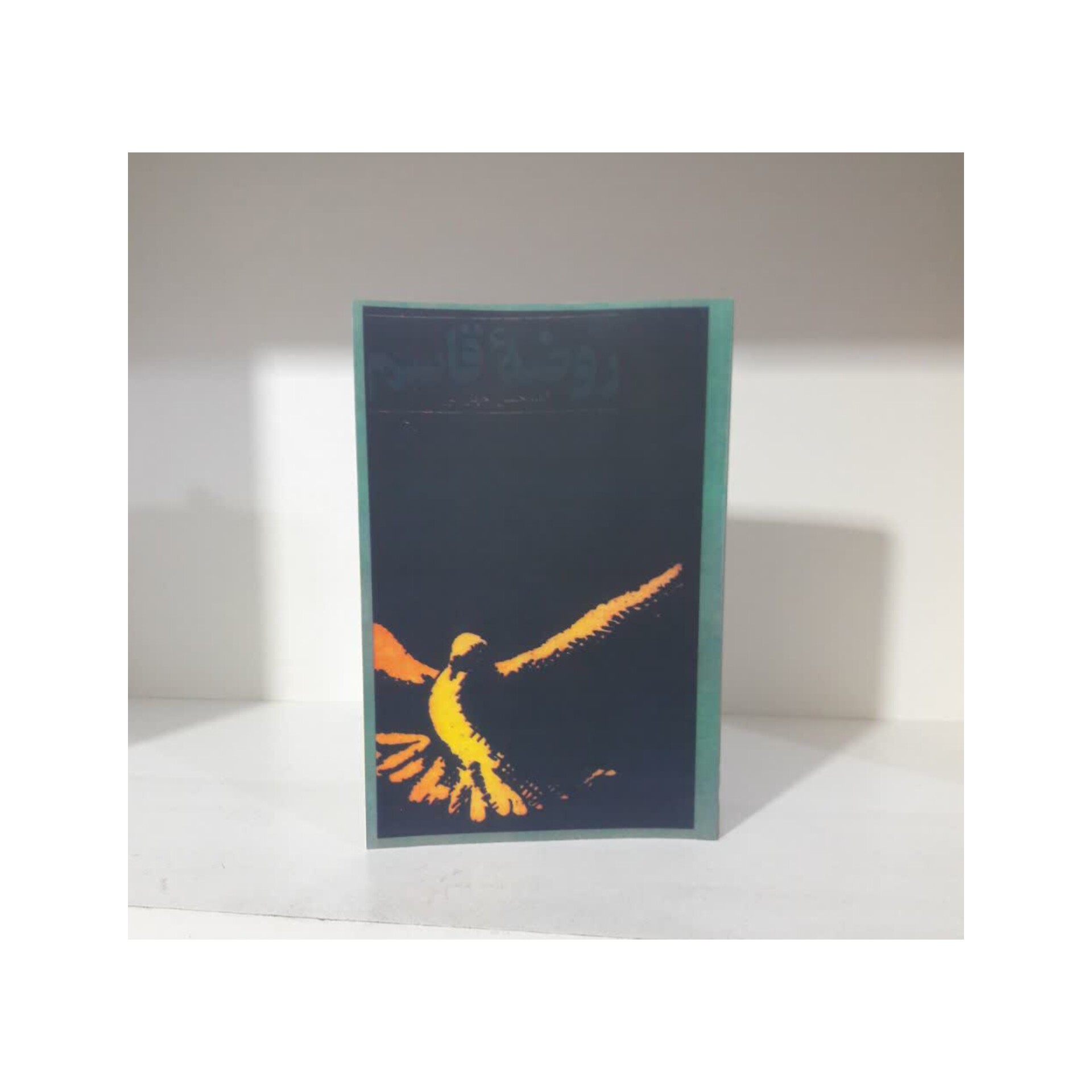 کتاب روضه قاسم اثر امیرحسین چهل تن