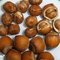 فندق با پوست خام نیم کیلویی باغات آذربایجان