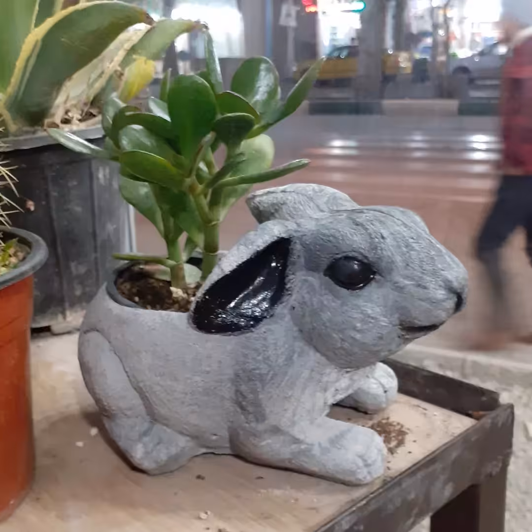 گلدان خرگوش