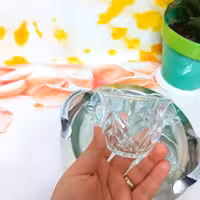 یک دست فنجان چایخوری مارک ساچی تحت لیسانس سوگا ژاپن