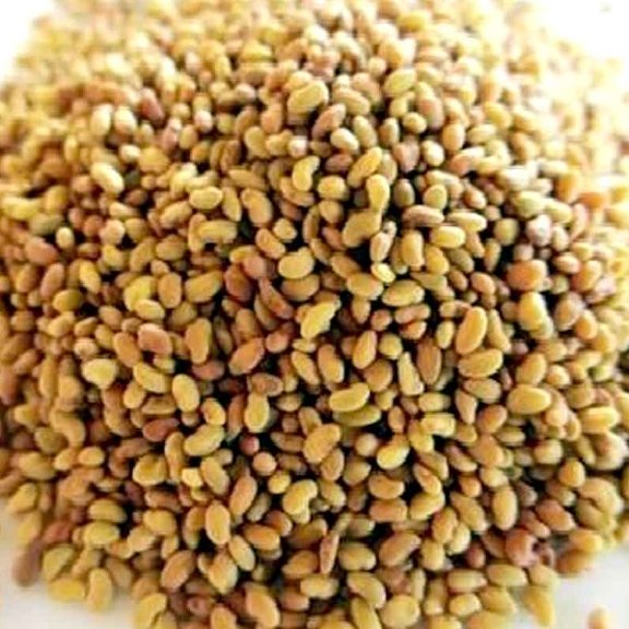 تخم یونجه 50 گرم 