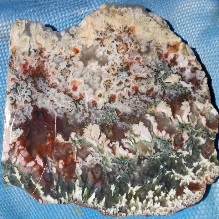 سنگ های قیمتی و نیمه قیمتی سنگ شجر با طرح ها متخلف نگین انگشتر 