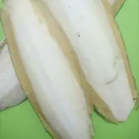 کف دریا (1000گرم)مخصوص پرندگان زینتی
