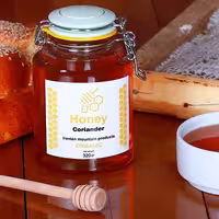 عسل آیناس