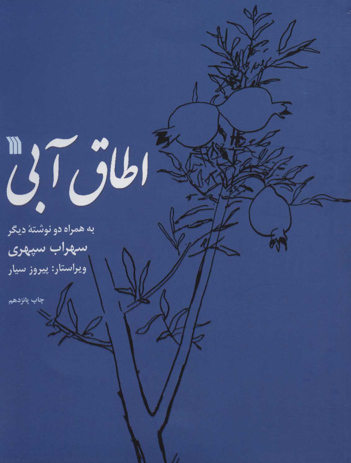 کتاب اطاق آبی