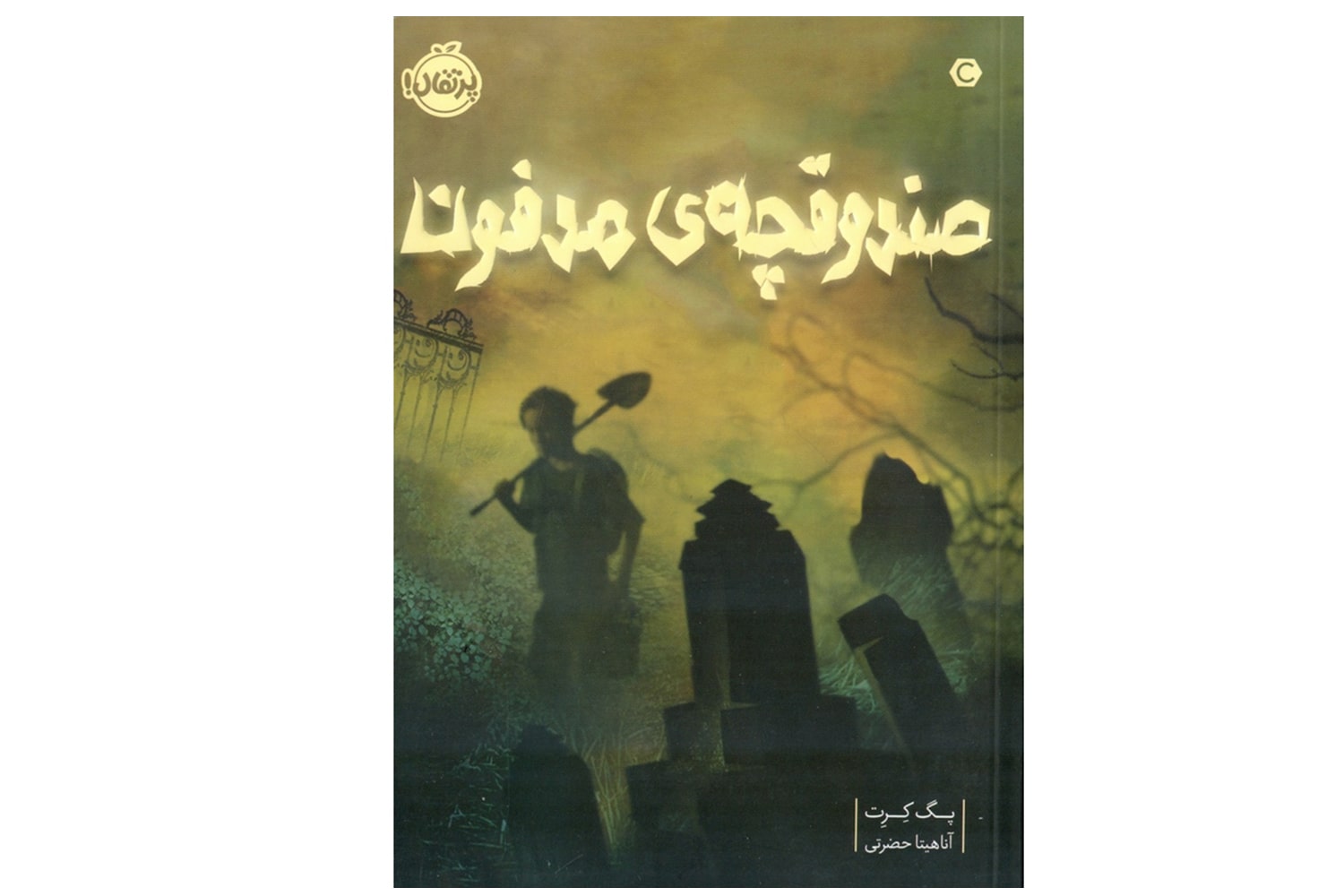 کتاب صندوقچه ی مدفون